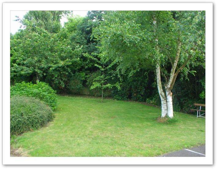 Ker-Loen Bed and Breakfast Val-Couesnon Buitenkant foto